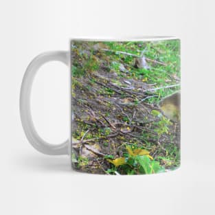 Canada Goose Gosling Walking Down a Small Hill Mug